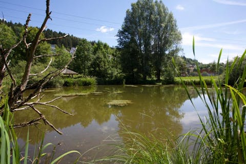 Naturschutzgebiet Heimbachaue Betzweiler
