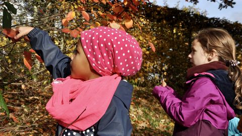 Kinder Waldgeheimnisse Herbst 20