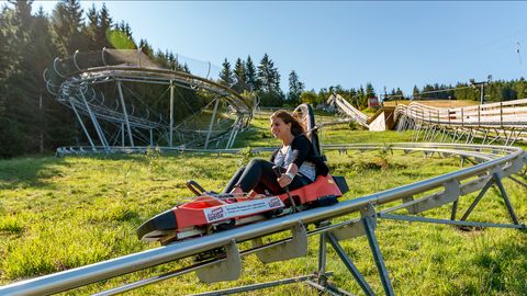 Mehliskopf Bobbahn