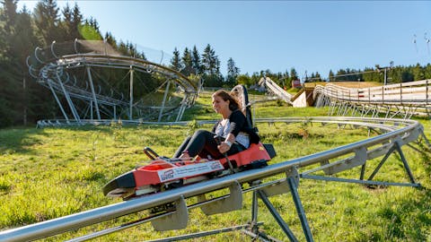 Mehliskopf Bobbahn