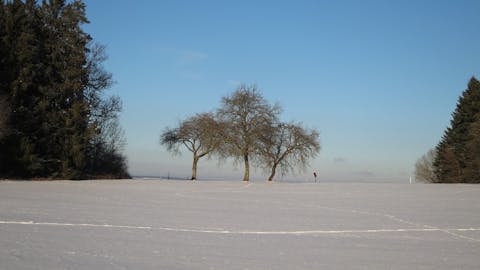 Winterlandschaft Loßburg