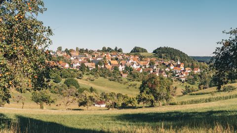 Wittendorf Streuobstwiesen