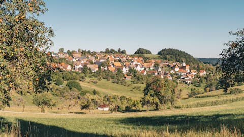 Wittendorf Streuobstwiesen