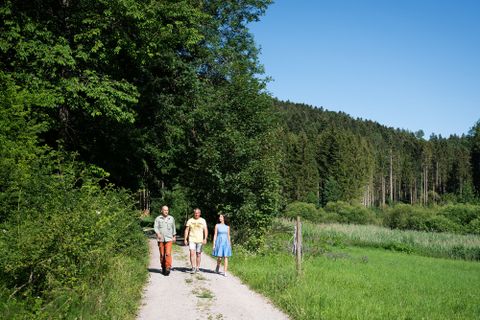 Wandern im Heimbachtal