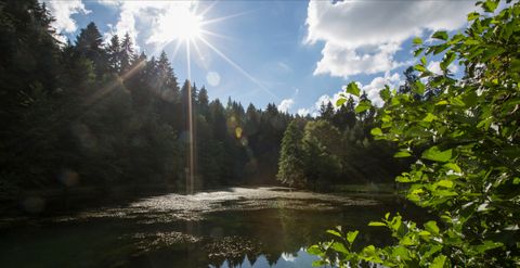 Kinzigsee
