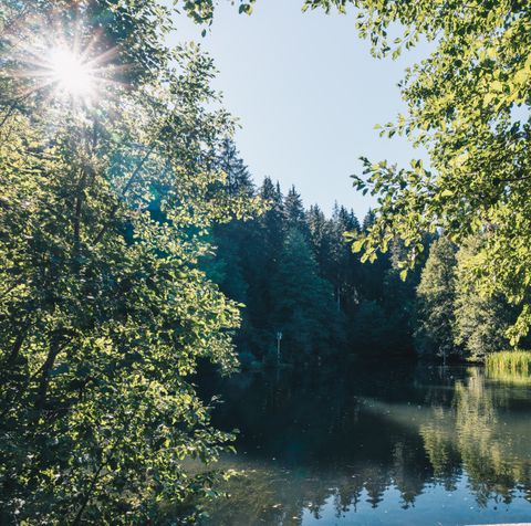 Kinzigsee Zauberland