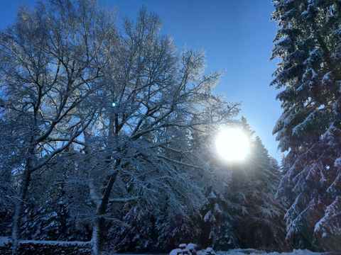 Winterlandschaft
