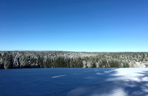Winterlandschaft
