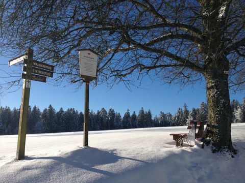Winterlandschaft