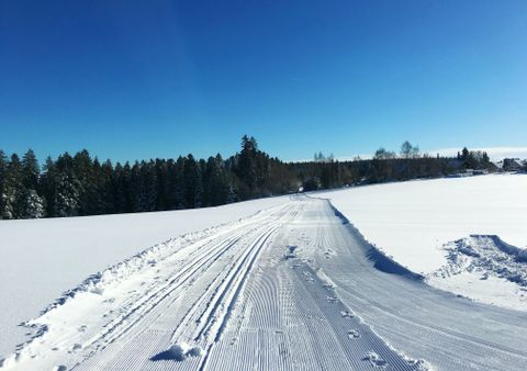Winterlandschaft
