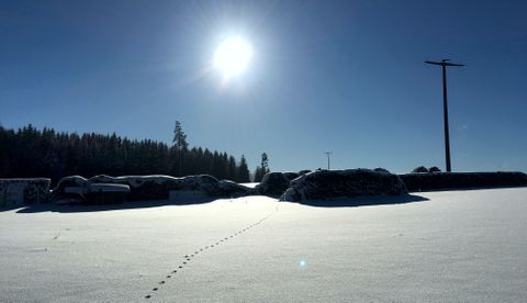 Winterlandschaft
