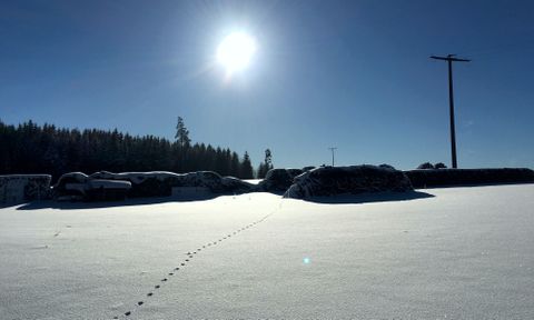 Winterlandschaft