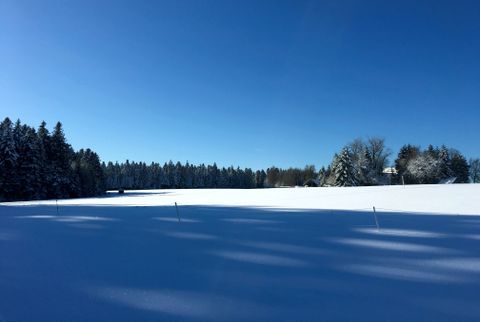 Winterlandschaft