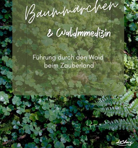 Waldboden mit Klee und feuchtem Moos