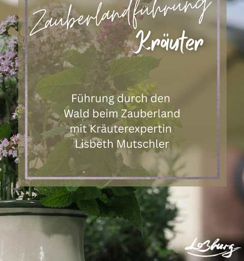 Frische Minze im Krug