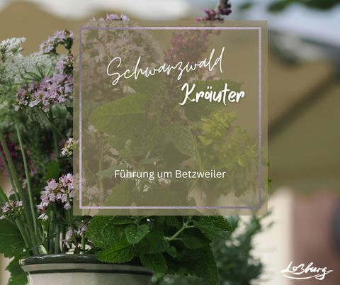 Melisse und Scharfgarbe im Emailekrug
