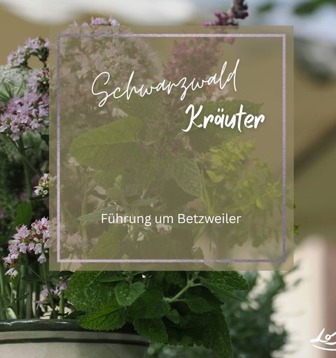 Melisse und Scharfgarbe im Emailekrug