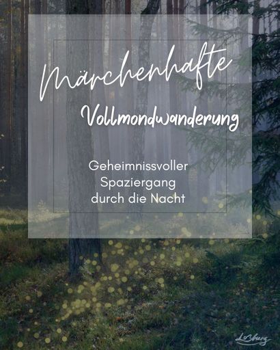 Wald im Dunkeln mit Glanzlichtern über dem Weg