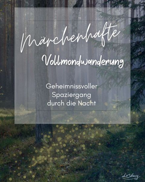 Wald im Dunkeln mit Glanzlichtern über dem Weg