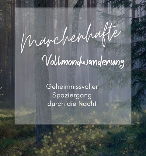 Wald im Dunkeln mit Glanzlichtern über dem Weg